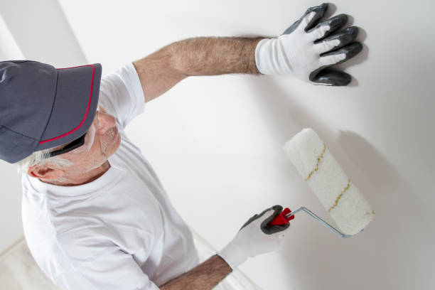 Best Biohazard Mold Removal  in Independence, MN