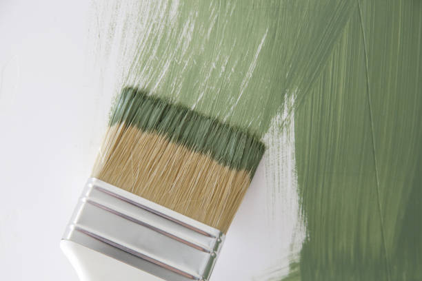 Best Basement Mold Removal  in Independence, MN