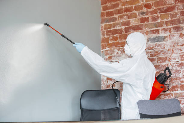 Best Biohazard Mold Removal  in Independence, MN