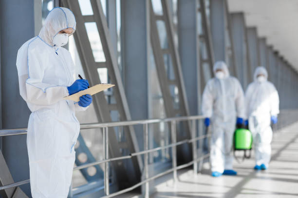 Best Mold Prevention Services  in Independence, MN