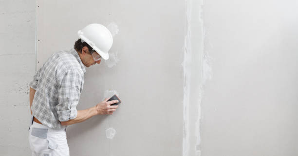 Best Asbestos and Lead Testing During Mold Inspection  in Independence, MN