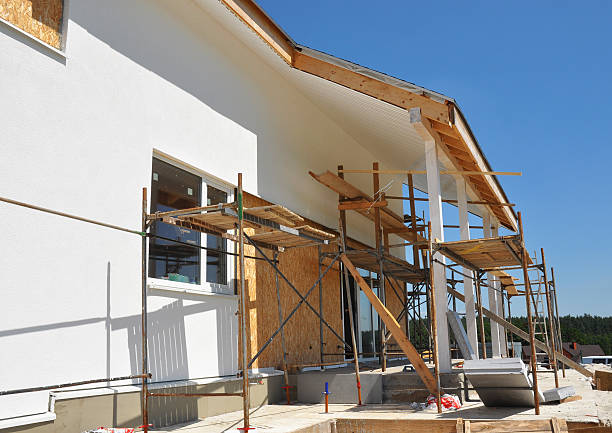 Best Post-Construction Mold Inspection  in Independence, MN