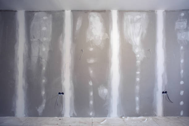 Professional Mold Removal in Independence, MN